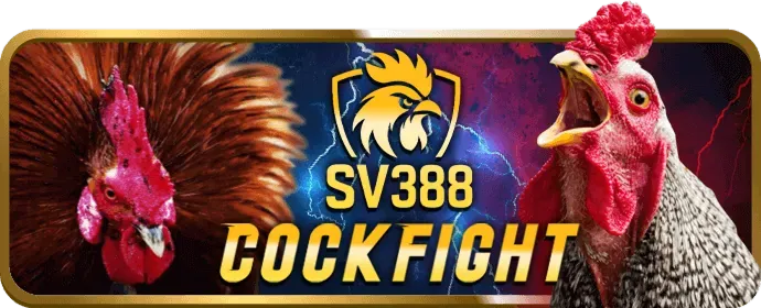 Ưu đãi VIP sm666 win